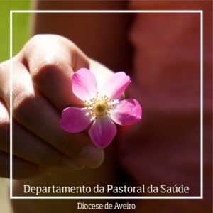 "Batismo, Caminho de Santidade" - FORMAÇÃO PARA AGENTES DE PASTORAL DA SAÚDE e MEC @ Seminário de Aveiro